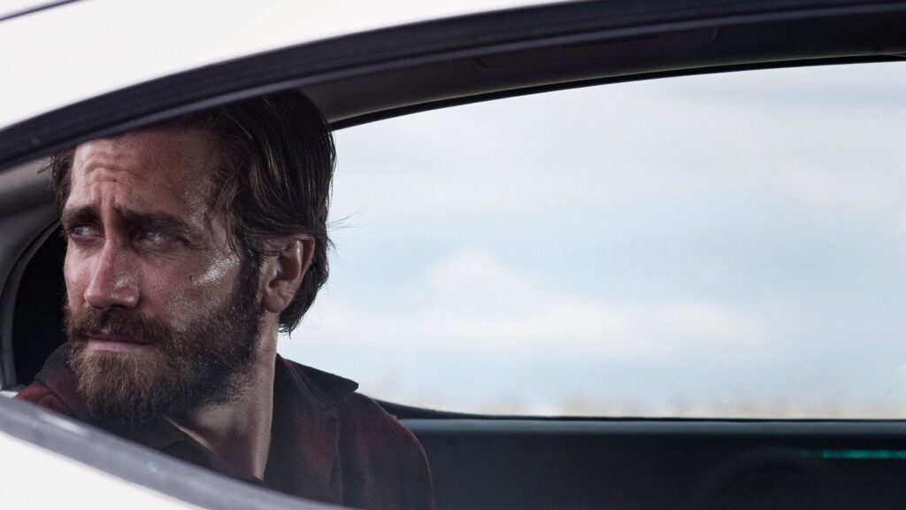 nocturnal animals